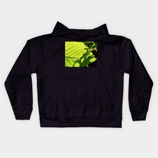 The Little Green Dragon Kids Hoodie